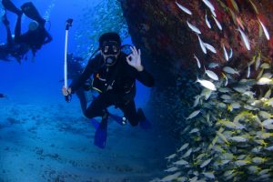 Best Fishing and diving tour